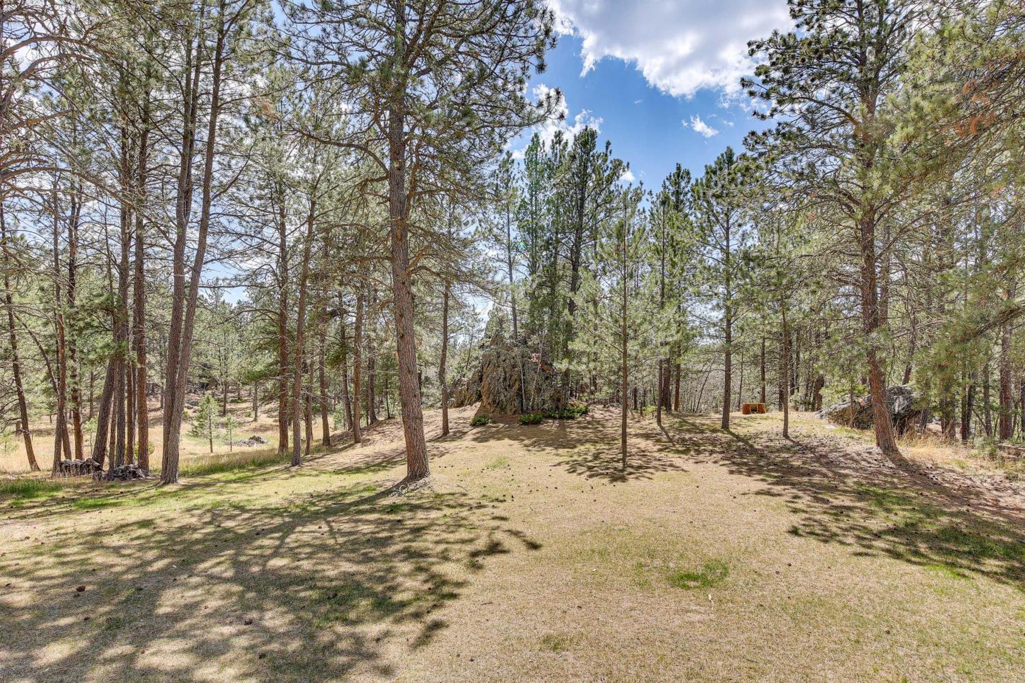 קאסטר Private Black Hills Home With Corral Horses Welcome מראה חיצוני תמונה